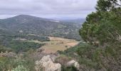 Trail Walking Ramatuelle - Col de Collebasse direction piste de la tourraque piste des Brouis - Photo 11