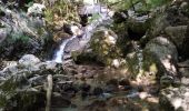 Trail Walking Saint-Vincent-de-Mercuze - les cascades Alloix et l' Enversin - Photo 1