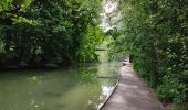 Trail Walking Maisons-Alfort - Le sentier de forts partie est - Photo 2