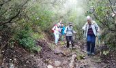 Randonnée Marche Saint-Raphaël - Les Ferrières - Photo 12