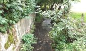 Trail Walking Verviers - petit tour dans la campagne d´Heusy - Photo 10