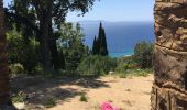 Tocht Stappen Cavalaire-sur-Mer - Cavalaire 2  - Photo 7
