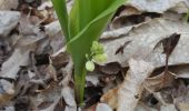 Trail Walking Champigny - 02 avril 21 - Photo 1