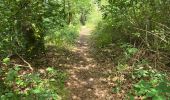 Tour Wandern Thoré-la-Rochette - Thoré-la-Rochette - Vallée et Coteaux du Loir - Photo 20