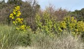 Trail Walking Lacoste - Les balcons du Salagou - Photo 2