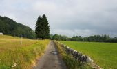 Randonnée Cyclotourisme Saint-Pé-de-Bigorre - St-Pé-de-Bigorre - Oloron - Photo 4