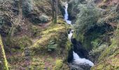 Tour Wandern The Municipal District of Wicklow - Glendalough  - Photo 11