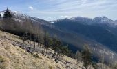 Trail Walking La Bollène-Vésubie - Turini - Photo 2