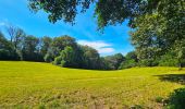 Trail Walking Durbuy - Balade à Villers Sainte Gertrude - Photo 12