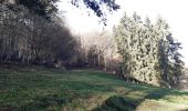 Trail Walking Theux - entre tancremont et banneux - Photo 12