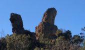 Excursión Senderismo Saint-Raphaël - Pic de l'ours, la Cadière, l'écureuil depuis Belle Barbe  - Photo 19