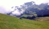 Excursión A pie Escholzmatt-Marbach - Marbachegg - Imbrig - Photo 1