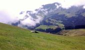 Percorso A piedi Escholzmatt-Marbach - Nesslenboden - Unt. Schübelsmoos - Hürnli - Photo 1