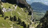 Randonnée Marche Plateau-des-Petites-Roches - Circuit  Tour Isabelle. L’aulp du Seuil  col de Marcieu - Photo 16