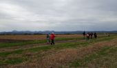 Tour Wandern Clerlande - Clerlande - Photo 4