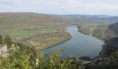 Trail Walking Poncin - Le Tour de l'Ain de Poncin à Serrières-sur-Ain et retour - Photo 1