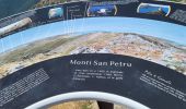 Trail Walking Moca-Croce - mont San petru - Photo 2