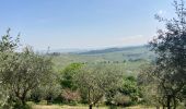 Trail Walking Barolo - Barolo Vergne Novello - Photo 3