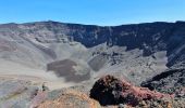 Tour Wandern Sainte-Rose - Piton de la Fournaise (cratère Dolomieu) - Piton Partage - Photo 4