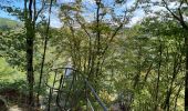 Tour Wandern Bouillon - Lés échelles de Rochehaut - Photo 2