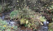 Trail Walking Manhay - la chavée courte - Photo 2