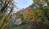 Trail Walking La Bourboule - Bourboule-puy-st-roch-retour-Bourboule - Photo 12