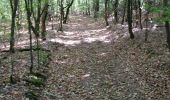 Percorso Mountainbike Rambervillers - sortie vtt du 19082018 rambervillers - Photo 2