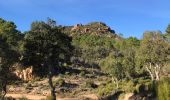 Trail  Fréjus - Auriasque - Bouverie  - Photo 1
