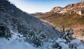 Tocht Sneeuwschoenen Andon - Descente vers le Loup en raquettes - Photo 4