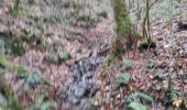 Trail Walking Bouillon - Rochehaut 191120 - Photo 9