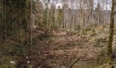 Tour Wandern Le Poizat-Lalleyriat -  le chemin de l'écureuil - Photo 2