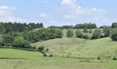 Trail Walking Herve - 20240606 - IPA Verviers- Reconnaissance balade - Photo 20