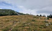 Trail Walking Tržič - veliki vrh 2086 - Photo 12