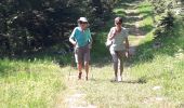 Tocht Stappen Autrans-Méaudre en Vercors - 02 07 19 - Photo 2