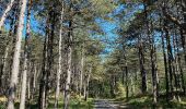 Trail On foot Terschelling - Sparrenlaan en Groene Pollen - Photo 10