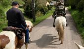 Trail Horseback riding Senones - Equiplaine senones Christophe  - Photo 4