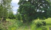Trail Walking Vresse-sur-Semois - Allesur Semois 020625 - Photo 9