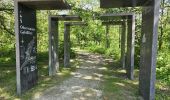Trail Walking Chambord - Parc de Chambord et ses postes d'observation  - Photo 13