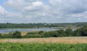 Trail Walking Larmor-Baden - PR_56_Larmor-Baden_BA_02_Tour-De-Berder-Et-Du-Marais_Circuit4a_20240717 - Photo 13