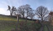 Trail Walking Theux - tillot . hodbomont . mont . wisselez . tillot - Photo 8