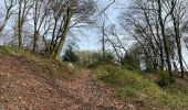 Randonnée Marche Corcy - en forêt de Retz_91_04_2022_la Laie de la Belle Epine - Photo 9