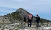 Excursión  Plan-d'Aups-Sainte-Baume - ST BAUME PAS DE L AIL CHEMIN MERVEILLEUX  - Photo 3