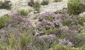 Excursión Senderismo Massoins - Pointe des 4 cantons - Photo 19