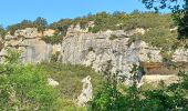 Randonnée Marche Buoux - APT,  Buous , circuit d Aigue Brun o l  - Photo 18