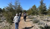 Tour Wandern Mérindol - PF-Mérindol - Dessus de Mérindol par les Chemins de l'Apied et des Bouigues - Vallon des Porcs - CP - Photo 5