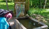 Randonnée Marche Presles - Fontaine de Pétouze- Grotte des boeufs - Photo 7