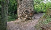 Trail Walking Saint-Sulpice-de-Favières - Saint-Sulpice-de-Favières - Photo 11