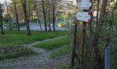 Trail On foot Camugnano - Alta Via dei Parchi: Tappa 11 - Photo 2