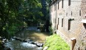 Percorso A piedi Schönburg - Geopfad Schönburg - Photo 1