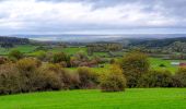 Tour Wandern Beauraing - Balade à Honnay - Beauraing - Photo 1